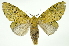  ( - INB0004208227)  @14 [ ] Copyright (2012) Juan Mata Lorenzen Unspecified