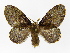  ( - INB0004209289)  @14 [ ] Copyright (2012) J. Montero Instituto Nacional de Biodiversidad