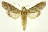  ( - INB0004210358)  @14 [ ] Copyright (2012) Juan Mata Lorenzen Unspecified