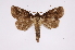  ( - INB0004210376)  @14 [ ] Copyright (2012) I. Chacon Instituto Nacional de Biodiversidad