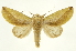  ( - INB0004210743)  @15 [ ] Copyright (2012) J. Montero INBio