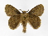  ( - INB0004210766)  @14 [ ] Copyright (2012) J. Montero Instituto Nacional de Biodiversidad