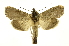  ( - INB0004210874)  @14 [ ] Copyright (2012) Juan Mata Lorenzen Unspecified