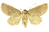  ( - INB0004210915)  @15 [ ] Copyright (2012) Juan Mata Lorenzen Unspecified