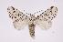  ( - INB0004210917)  @14 [ ] Copyright (2012) I. Chacon Instituto Nacional de Biodiversidad
