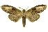  ( - INB0004210929)  @13 [ ] Copyright (2012) Juan Mata Lorenzen Unspecified