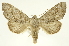  ( - INB0004211289)  @14 [ ] Copyright (2012) J. Montero INBio