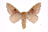  ( - INB0004211304)  @14 [ ] Copyright (2012) I. Chacon Instituto Nacional de Biodiversidad