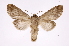  ( - INB0004213153)  @14 [ ] Copyright (2012) I. Chacon Instituto Nacional de Biodiversidad