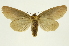  ( - INB0004213177)  @13 [ ] Copyright (2012) J. Montero INBio