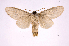  ( - INB0004215708)  @13 [ ] Copyright (2012) I. Chacon Instituto Nacional de Biodiversidad