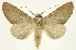  ( - INB0004215741)  @14 [ ] Copyright (2012) J. Montero INBio
