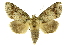  ( - INB0004217497)  @14 [ ] Copyright (2012) Juan Mata Lorenzen Unspecified