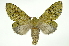  ( - INB0004217565)  @14 [ ] Copyright (2012) Juan Mata Lorenzen Unspecified