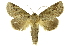  ( - INB0004217581)  @11 [ ] Copyright (2012) Juan Mata Lorenzen Unspecified