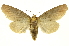  ( - INB0004217641)  @14 [ ] Copyright (2012) J. Montero INBio