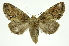  ( - INB0004217684)  @14 [ ] Copyright (2012) Juan Mata Lorenzen Unspecified