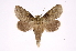  ( - INB0004217717)  @14 [ ] Copyright (2012) I. Chacon Instituto Nacional de Biodiversidad