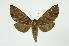  ( - INB0004218075)  @14 [ ] Copyright (2012) Juan Mata Lorenzen INBio