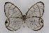  ( - INB0004220493)  @12 [ ] CreativeCommons - Attribution Non-Commercial Share-Alike (2012) National Biodiversity Institute of Costa Rica National Biodiversity Institute of Costa Rica