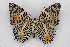  ( - INB0004221725)  @13 [ ] CreativeCommons - Attribution Non-Commercial Share-Alike (2012) National Biodiversity Institute of Costa Rica National Biodiversity Institute of Costa Rica