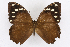  ( - INB0004222096)  @14 [ ] CreativeCommons - Attribution Non-Commercial Share-Alike (2012) National Biodiversity Institute of Costa Rica National Biodiversity Institute of Costa Rica