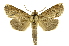  ( - INB0004222159)  @14 [ ] Copyright (2012) Juan Mata Lorenzen Unspecified
