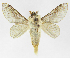  ( - INB0004222291)  @14 [ ] Copyright (2012) J. Montero Instituto Nacional de Biodiversidad
