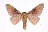  ( - INB0004222852)  @14 [ ] Copyright (2012) I. Chacon Instituto Nacional de Biodiversidad