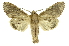  ( - INB0004224039)  @14 [ ] Copyright (2012) Juan Mata Lorenzen Unspecified