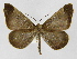  ( - INB0004224994)  @14 [ ] Copyright (2012) J. Montero Instituto Nacional de Biodiversidad
