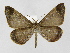 ( - INB0004224994)  @13 [ ] Copyright (2012) J. Montero Instituto Nacional de Biodiversidad