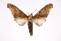  ( - INB0004228118)  @13 [ ] Copyright (2012) I. Chacon Instituto Nacional de Biodiversidad