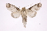  ( - INB0004228124)  @14 [ ] Copyright (2012) I. Chacon Instituto Nacional de Biodiversidad