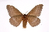  ( - INB0004228582)  @14 [ ] Copyright (2012) I. Chacon Instituto Nacional de Biodiversidad