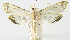  ( - INB0004238390)  @12 [ ] CreativeCommons - Attribution Non-Commercial Share-Alike  National Biodiversity Institute of Costa Rica National Biodiversity Institute of Costa Rica