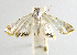  ( - INB0004238394)  @12 [ ] CreativeCommons - Attribution Non-Commercial Share-Alike  National Biodiversity Institute of Costa Rica National Biodiversity Institute of Costa Rica