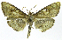  ( - INB0004238877)  @14 [ ] CreativeCommons - Attribution Non-Commercial Share-Alike  National Biodiversity Institute of Costa Rica National Biodiversity Institute of Costa Rica