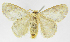  ( - INB0004239200)  @13 [ ] Copyright (2012) J. Montero Instituto Nacional de Biodiversidad
