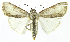  ( - INB0004239305)  @15 [ ] CreativeCommons - Attribution Non-Commercial Share-Alike  National Biodiversity Institute of Costa Rica National Biodiversity Institute of Costa Rica