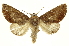  ( - INB0004239344)  @14 [ ] Copyright (2012) Juan Mata Lorenzen Unspecified