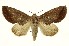  ( - INB0004239455)  @14 [ ] Copyright (2012) Juan Mata Lorenzen Unspecified