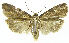  ( - INB0004239590)  @12 [ ] CreativeCommons - Attribution Non-Commercial Share-Alike (2012) National Biodiversity Institute of Costa Rica National Biodiversity Institute of Costa Rica