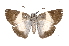  ( - INB0004239852)  @12 [ ] Copyright (2012) I. Chacon Instituto Nacional de Biodiversidad