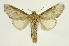  ( - INB0004239932)  @15 [ ] Copyright (2012) Juan Mata Lorenzen Unspecified