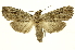  ( - INB0004243002)  @14 [ ] Copyright (2012) J. Montero INBio