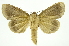  ( - INB0004243147)  @14 [ ] Copyright (2012) Juan Mata Lorenzen Unspecified