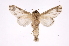  ( - INB0004243148)  @14 [ ] Copyright (2012) I. Chacon Instituto Nacional de Biodiversidad