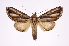  ( - INB0004243149)  @13 [ ] Copyright (2012) I. Chacon Instituto Nacional de Biodiversidad