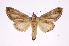  ( - INB0004243149)  @12 [ ] Copyright (2012) I. Chacon Instituto Nacional de Biodiversidad